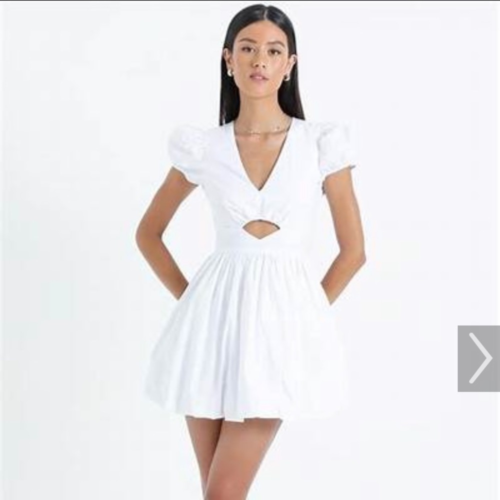 Rosetree Party Skater Dress NWT